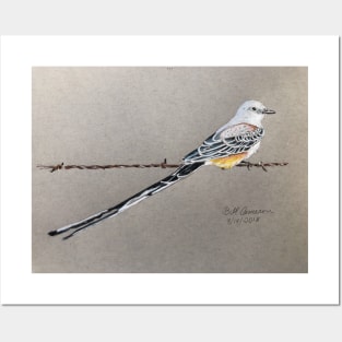 Scissored-tailed Flycatcher Posters and Art